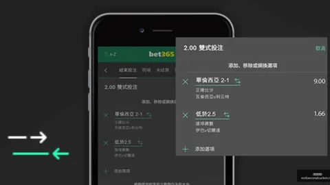 约旦球星塔马里加盟雷恩，续约至2028年